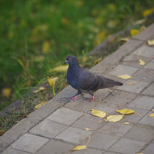 Photo #13713612