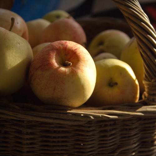 Photo #13713647