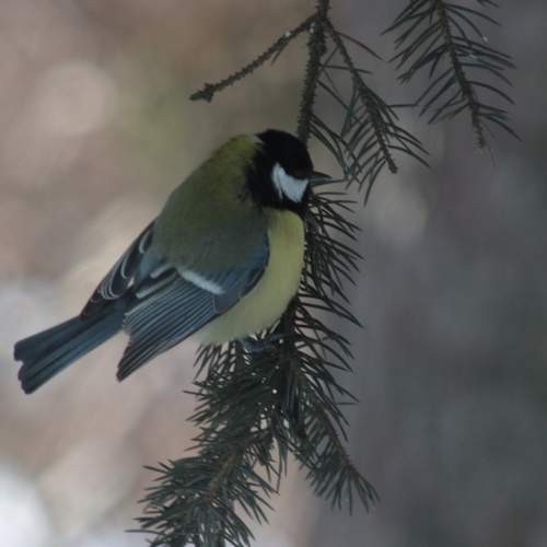 Photo #13713699
