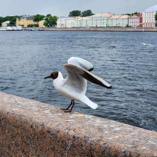 Photo #13713702