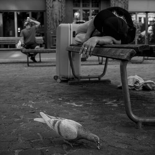 Photo #13713725