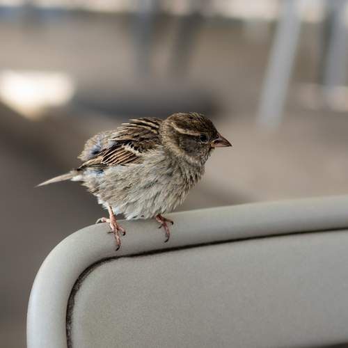 Photo #13713744