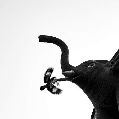 Photo #13713831