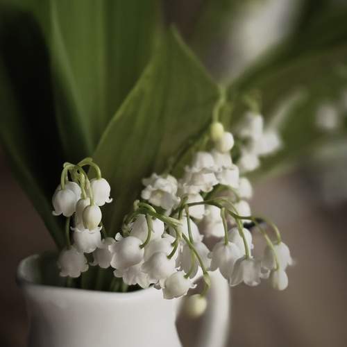 Photo #13713845
