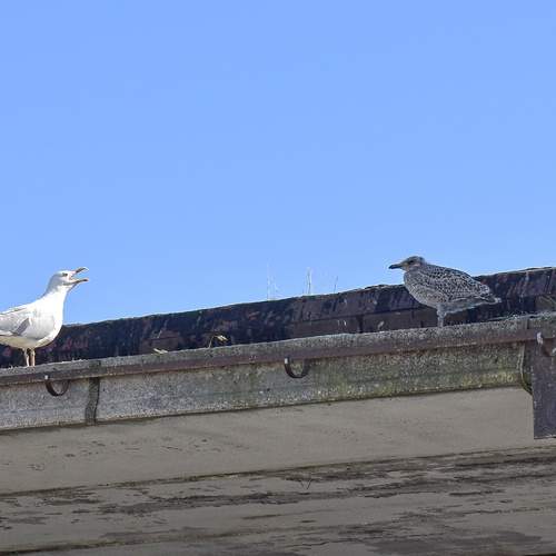 Photo #13713876