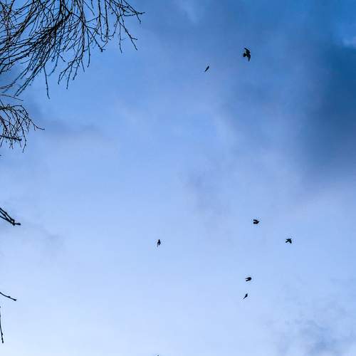 Photo #13713913