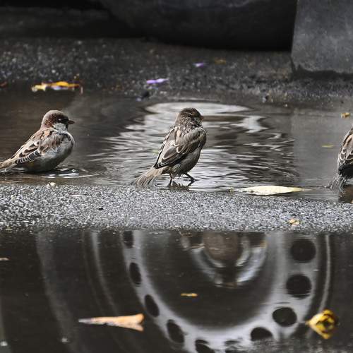 Photo #13713915