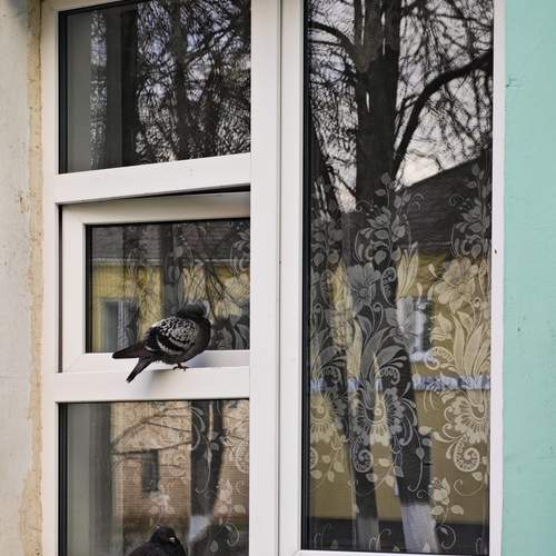 Photo #13713939