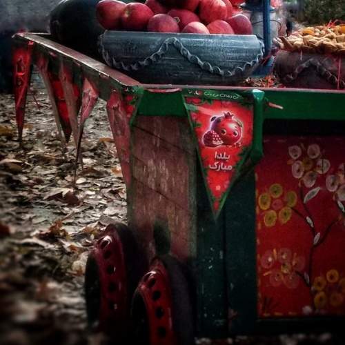 Yalda in street