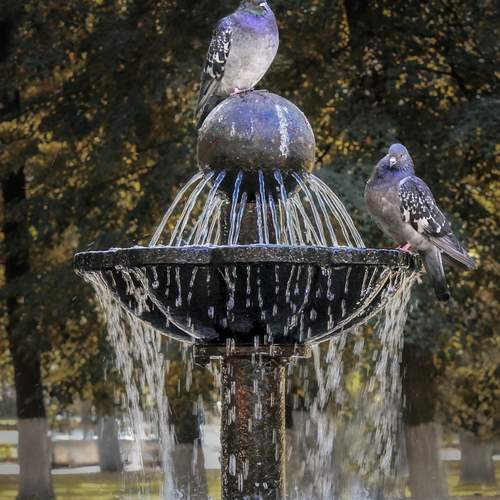 Winged Fountain Keepers