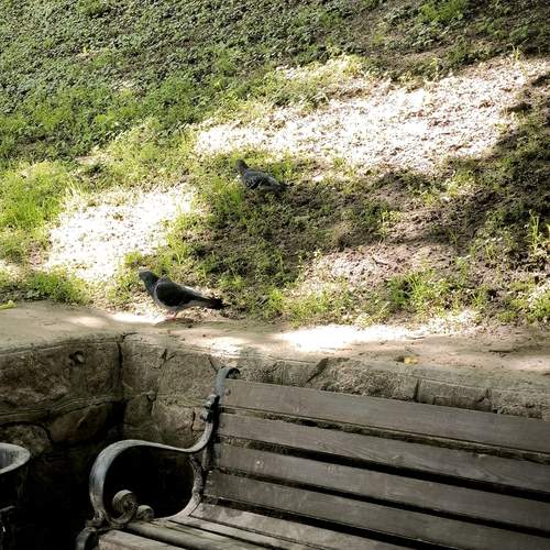 Photo #13714109