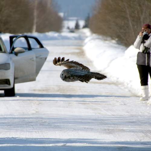 Photo #13714146