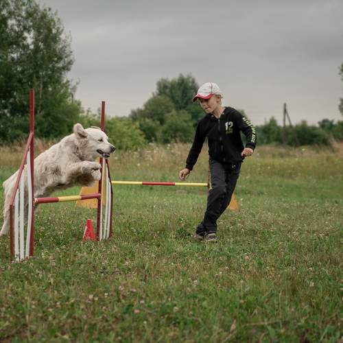 Photo #13714231