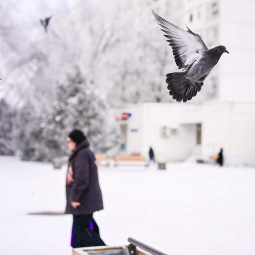 Photo #13714248