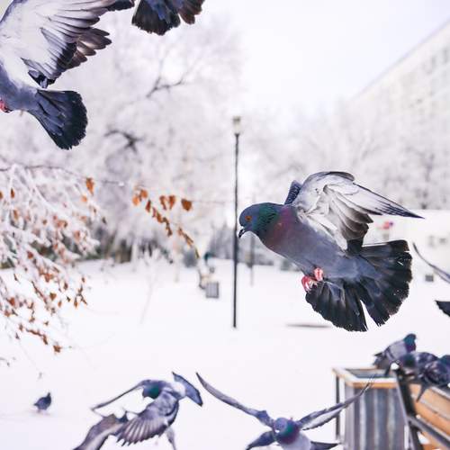 Photo #13714249