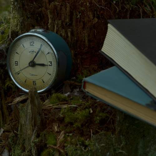 Photo #13714267