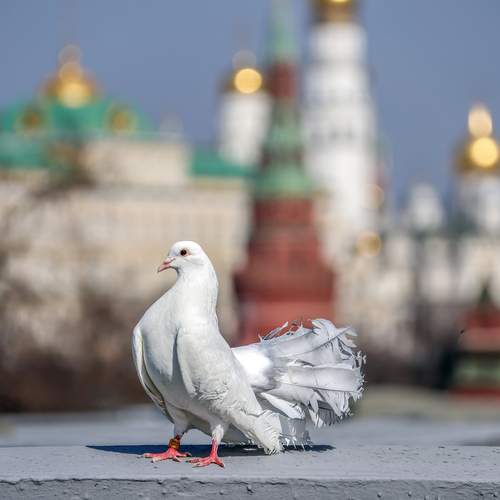 Лариса Рулёва