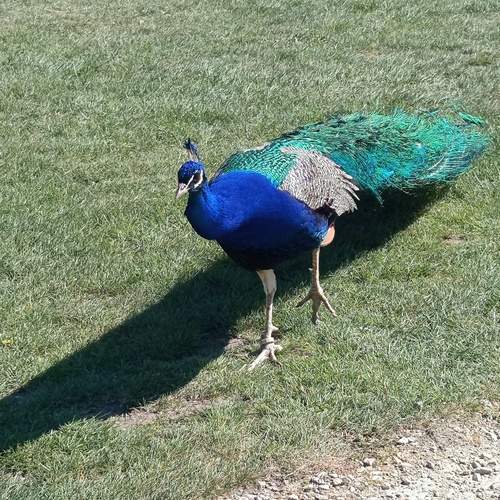 Photo #13714350