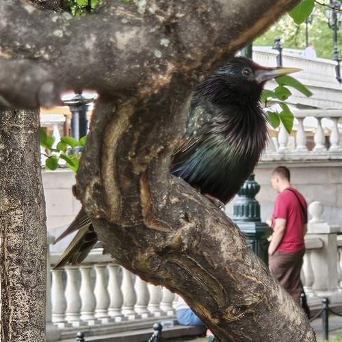 Photo #13714368