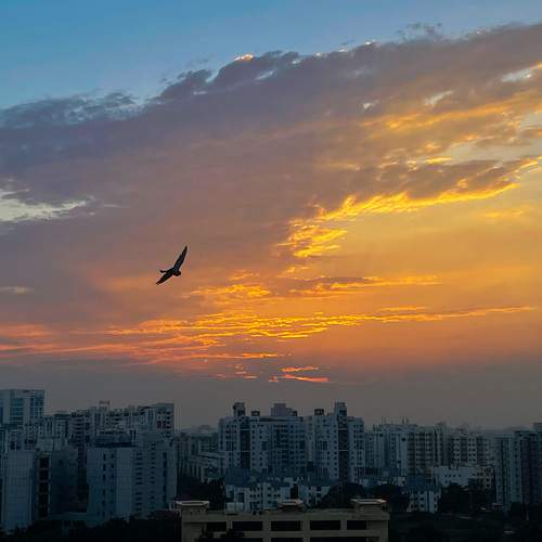 Photo #13714395