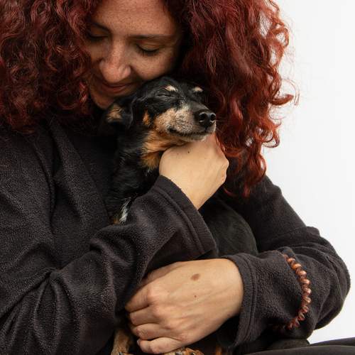 Photo #13714411