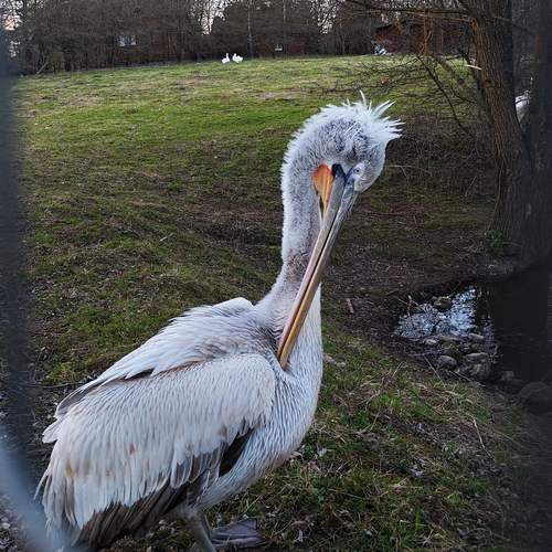 Photo #13714443