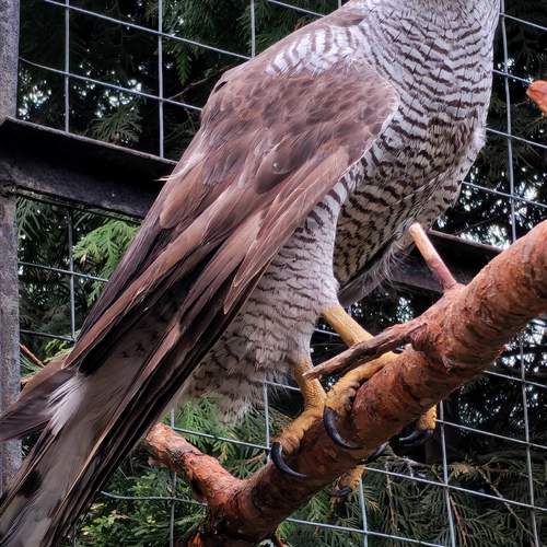 Photo #13714444