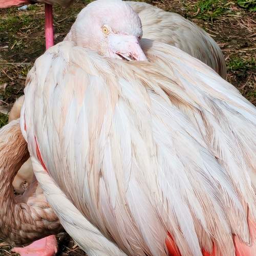 Photo #13714445