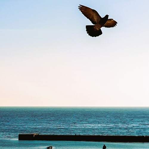 Photo #13714496