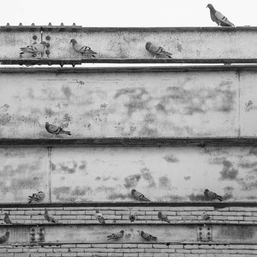 Bricks and Steel