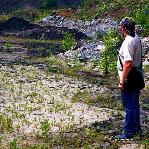 Photo #13714551
