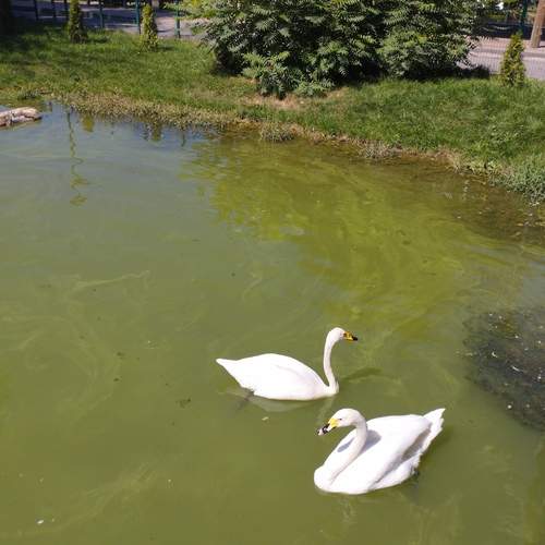 Photo #13714602