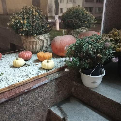 Photo #13714823