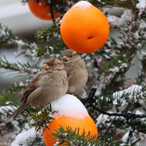 Photo #13714899