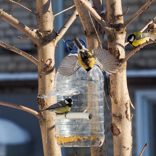 Photo #13714900