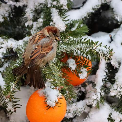 Photo #13714903