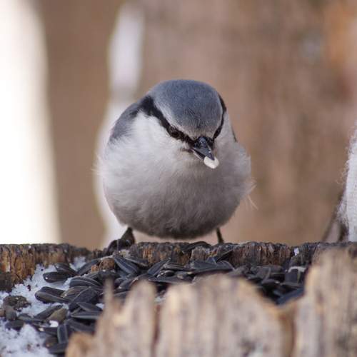 Photo #13714914