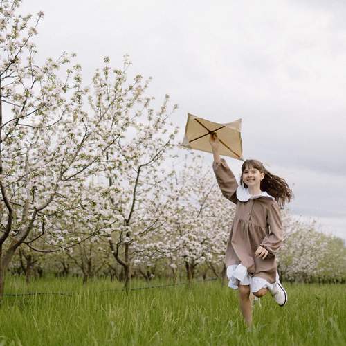 Photo #13714924