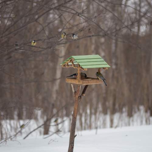 Photo #13714929