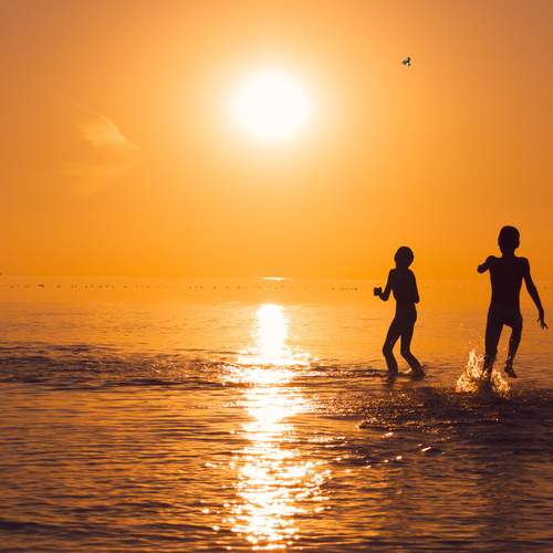 Photo #13714930