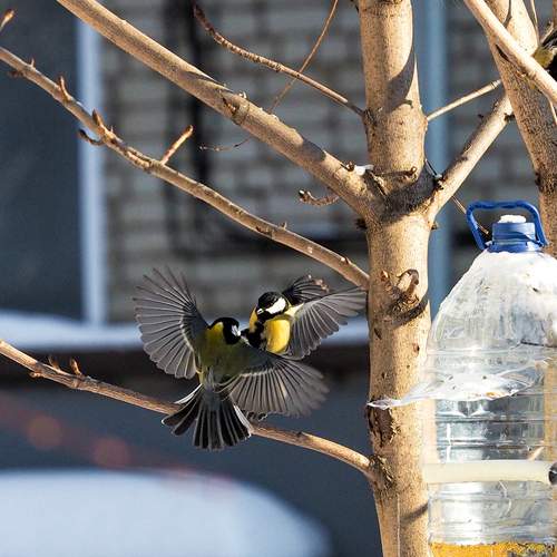 Photo #13714943