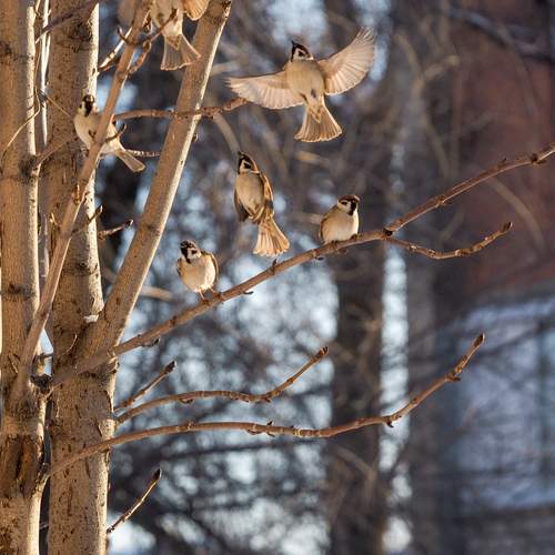 Photo #13714944