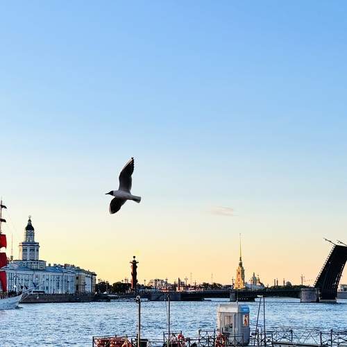 Photo #13715017