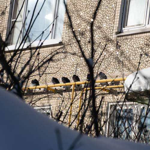 Photo #13715020