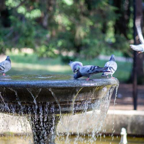 Photo #13715059