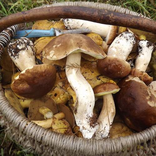 Photo #13715079