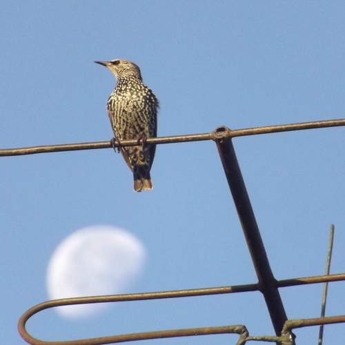 Photo #13715091
