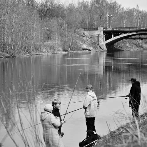 Photo #13715092