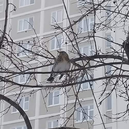 Photo #13715137