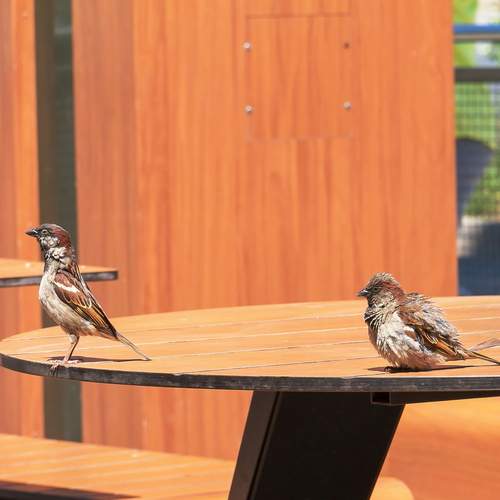 Photo #13715260